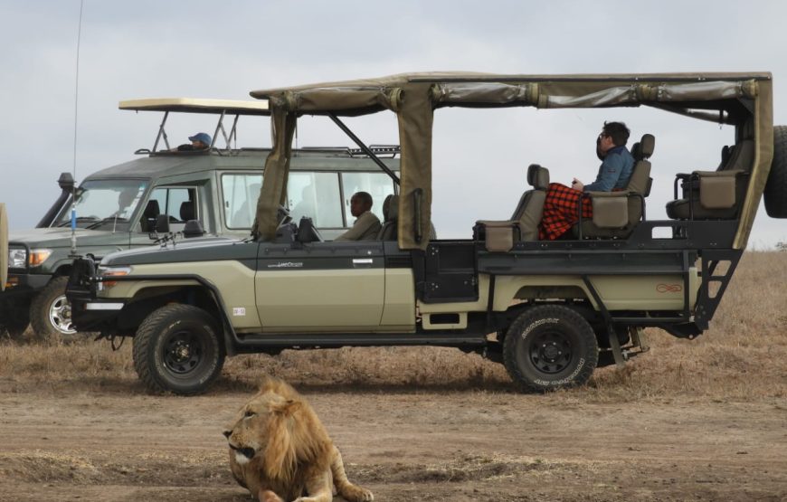 5 days masai mara lake naivasha and amboseli National parks safari