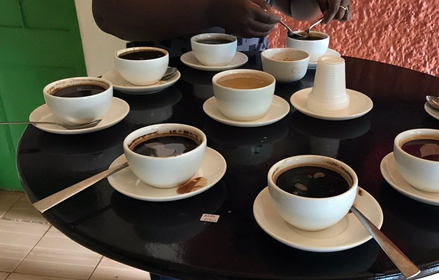 Nairobi Coffee Farm and Factory Tour